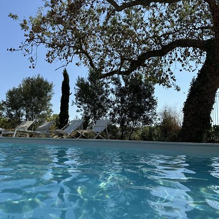 B&B Maison D'Hote Et Gite Mas D'Eymard Arles Kültér fotó